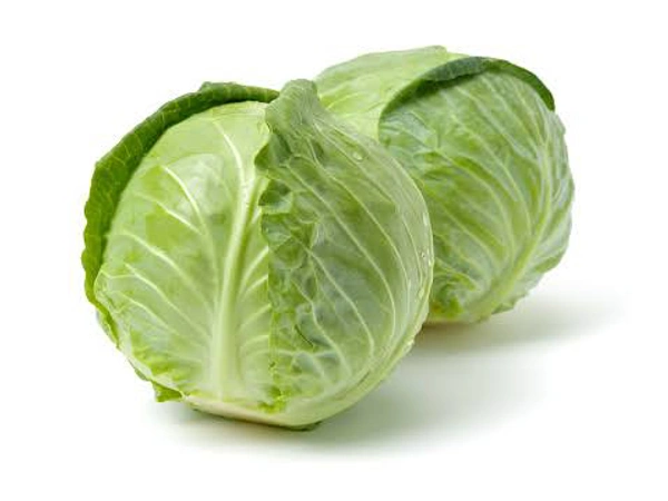 Cabbage / കാബേജ്