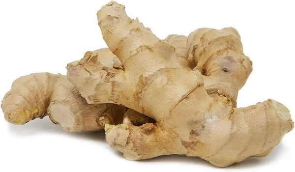 Ginger / Inchi / ഇഞ്ചി