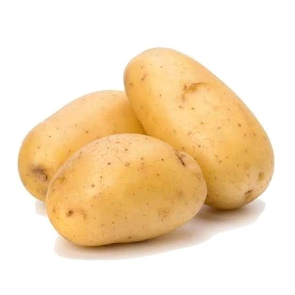 Potato / Urula Kizhangu / ഉരുളകിഴങ്ങ് / കിഴങ്ങ്