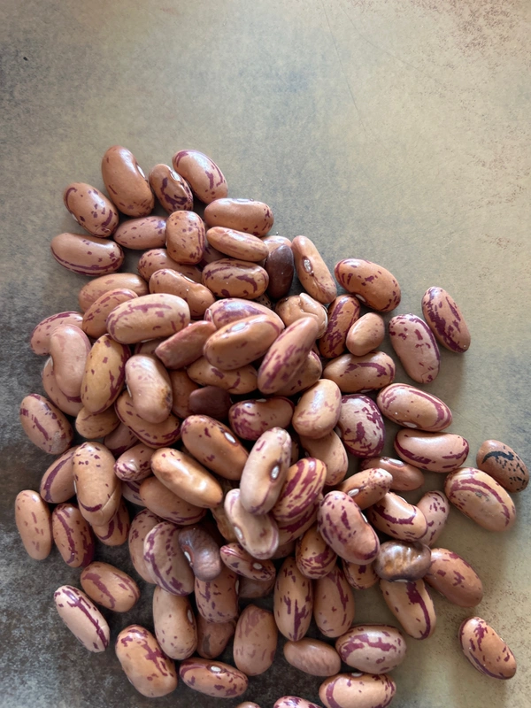 Rajma Chitra - LOOSE