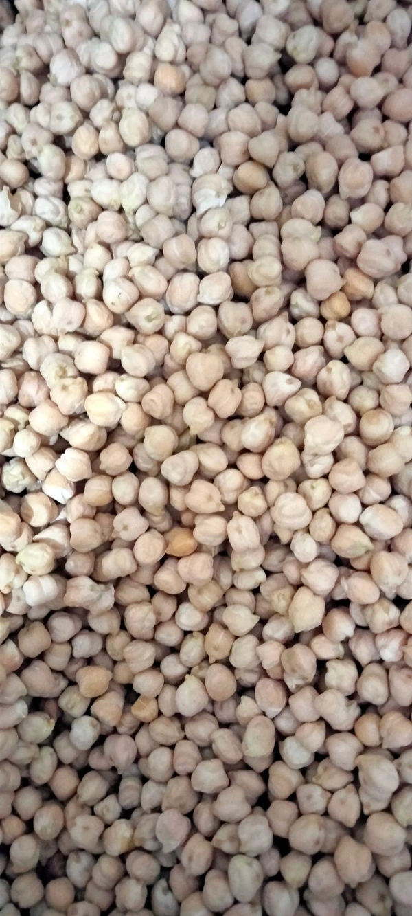 kabuli Chana(कबूली छोटा ) - 