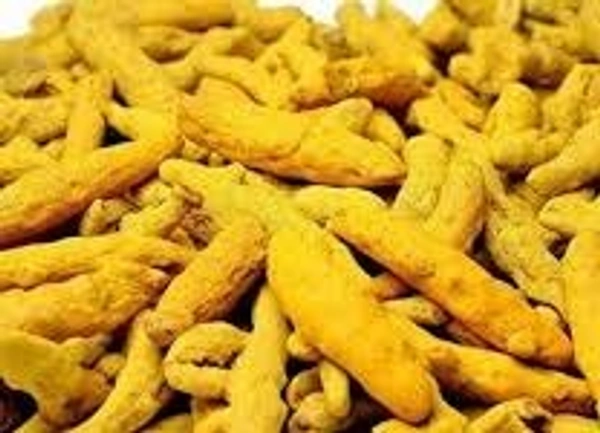 Sabut Haldi