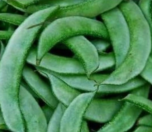 Beans ( Chikkadi Kai) - 500gm