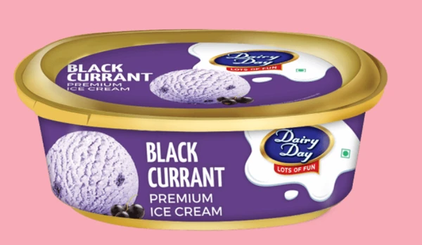 Dairy Day Black Currant Premium Ice Cream Tub-500ml