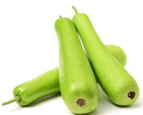 Bottle Gourd / Lauki / Sorekayi - 1kg-1.2kg