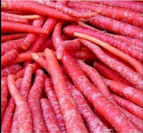 Carrot Delhi - 450gm-500gm