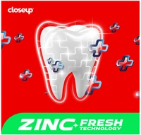 Closeup Everfresh++ Red Hot Gel Toothpaste - 40gm