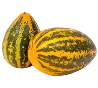 Cucumber(Sambar) / Sambar Dosakaya - 600gm-700gm