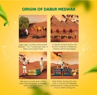 Dabur Meswak Pure Miswak Extract,2x150gm-300gm