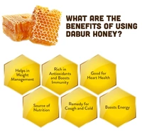 Dabur Honey 100% Purity Guaranteed-100gm