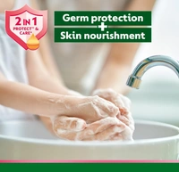 Dettol Skincare Liquid Handwash, 2 In 1 Protect & Care-675ml (Refill)