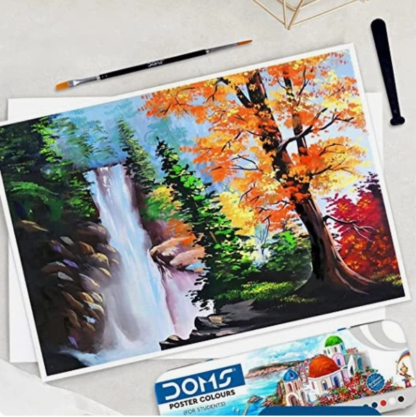 Doms Poster Colours,12 Shades-1Box