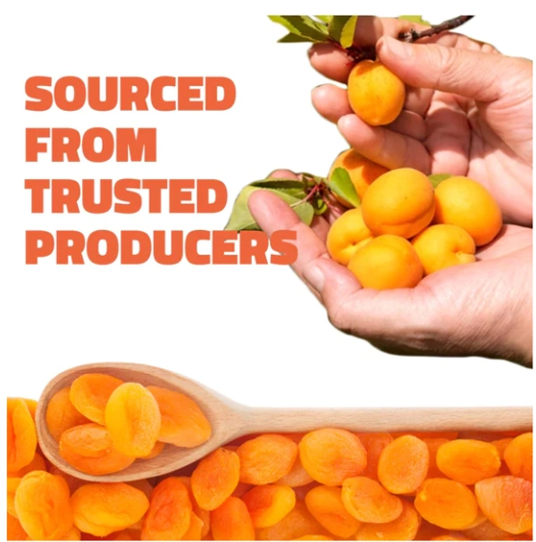 Farmley Turkish Apricots, Dried - 200gm
