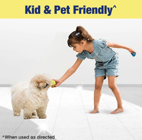 Lizol Disinfectant All In 1 Surface Clearner, 3 Triple Germ Action,Pine-500ltr