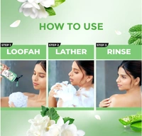 Lux Body Wash Fresh Aloe, Aloe Vera & Freesia Scent-245ml