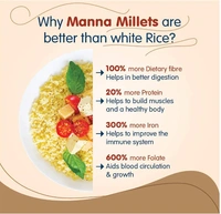 Manna Ethnic Millets FoxTail Millet-500gm