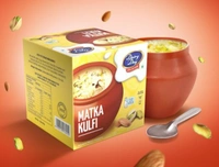 Dairy Day Matka Kulfi-100ml