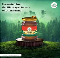 Organic India Honey Multi Floral - 250gm