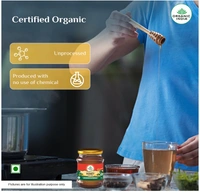 Organic India Honey Multi Floral - 250gm