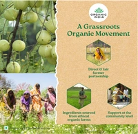 Organic India Tulsi Green Tea, Jasmine - 25 bags