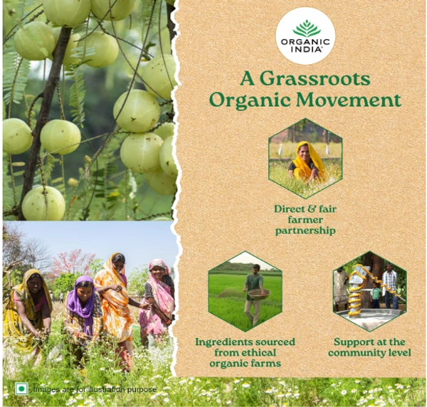 Organic India Tulsi Green Tea, Honey Lemon - 25bags