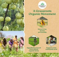 Organic India Tulsi Masala Chai - 25bags
