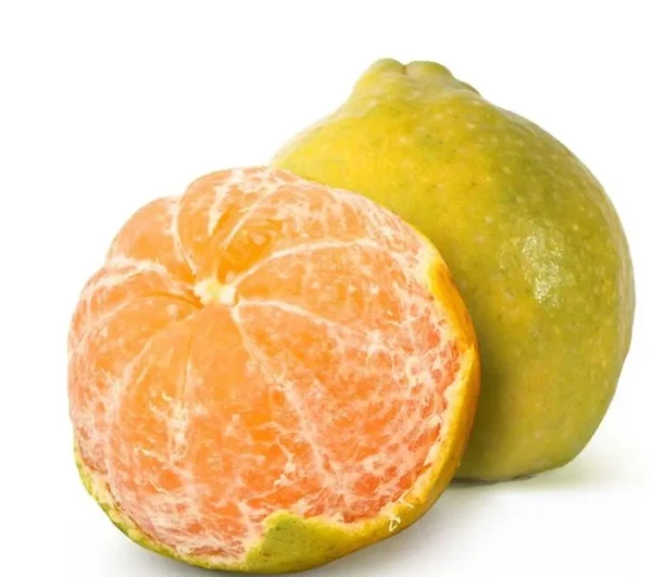 Orange (Nagpur)-1kg