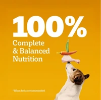 Pedigree Adult Chicken & Vegetables, 100% Complete & Balanced Food - 1.2kg