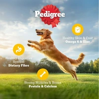 Pedigree Adult Chicken & Vegetables, 100% Complete & Balanced Food - 1.2kg