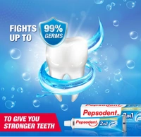 Pepsodent 2 In 1, Gel Freshens + Paste Fights Cavities, Toothpaste - 80gm