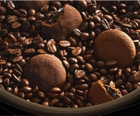 Sunfeast Dark Fantasy Coffee Fills-75gm