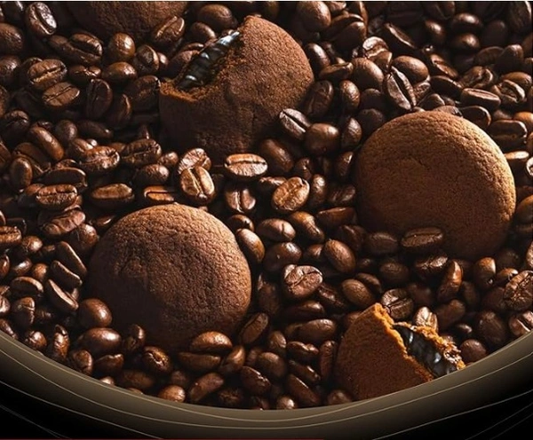 Sunfeast Dark Fantasy Coffee Fills-75gm