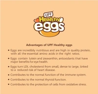 UPF Healthy Eggs, Brown- 12 Large| Veg Fed| Non-Fertile Eggs