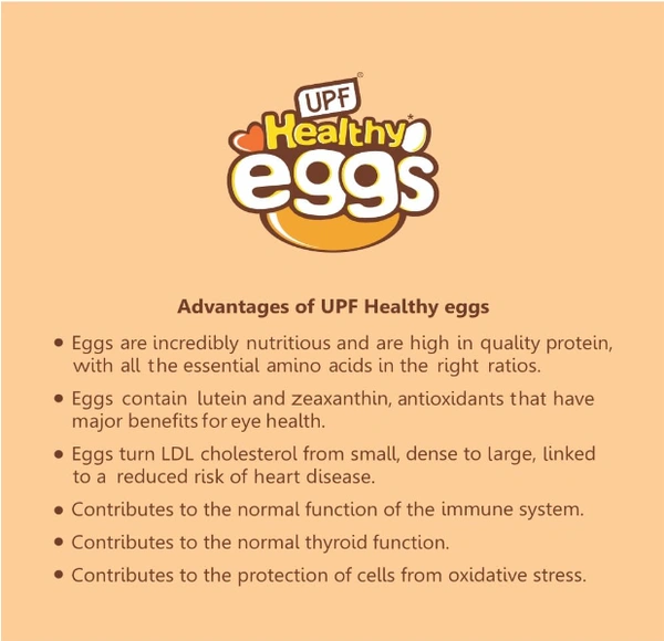 UPF Healthy Eggs, Brown- 12 Large| Veg Fed| Non-Fertile Eggs