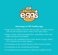 UPF Healthy Eggs, White- 6 Large|Veg Fed| Non-Fertile Eggs
