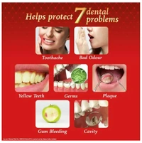 Dabur Red Tooth Paste for Teeth and Gum, 200gm + 100gm