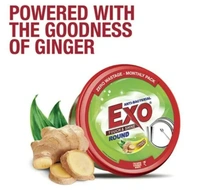 Exo Dishwash Touch & Shine, Round Ginger Twist - 500gm