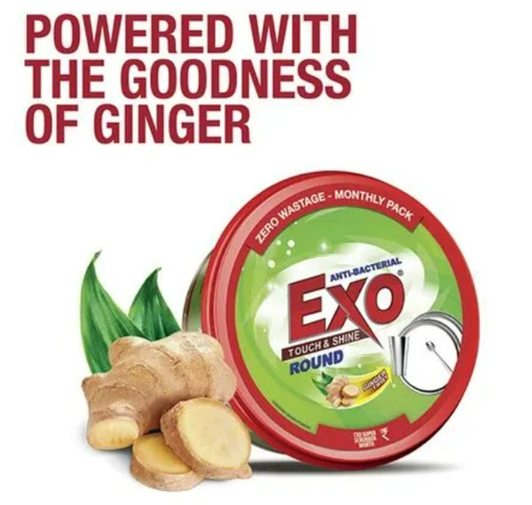 Exo Dishwash Touch & Shine, Round Ginger Twist - 500gm