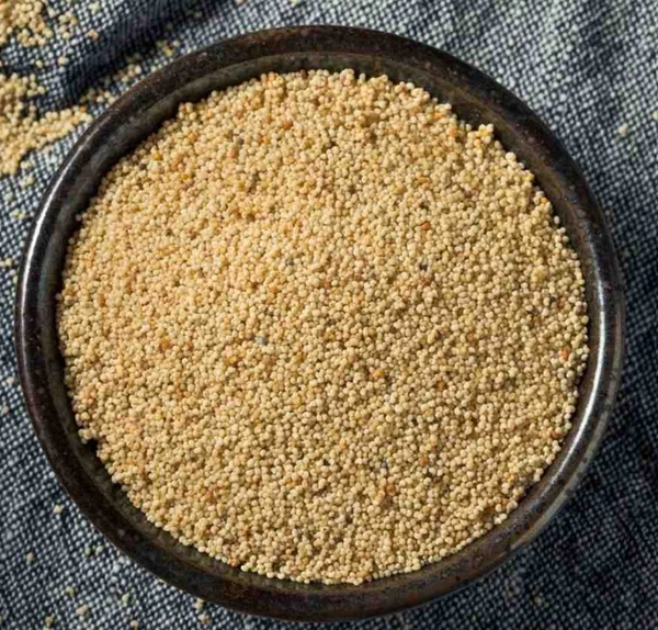 First Choice Universal Poppy Seeds / Khus Khus, 50gm