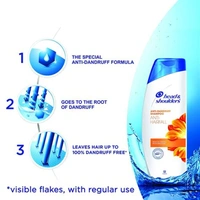 Head & Shoulders Anti Hair Fall 340ml
