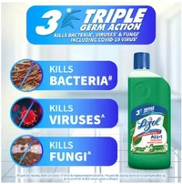 Lizol Disinfectant Surface and Floor Cleaner Jasmine 500ml