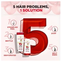 LOREAL Paris Total Repair 5 , Repairing Shampoo Damaged Hair, 340ml