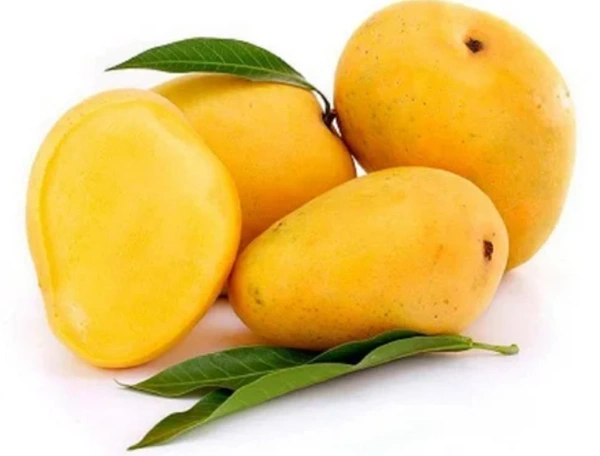 Mango Banganapalle - 1kg
