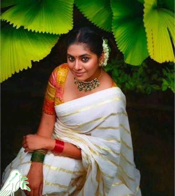 Nimisha sajayan inspired golden Strip  cotton setsaree