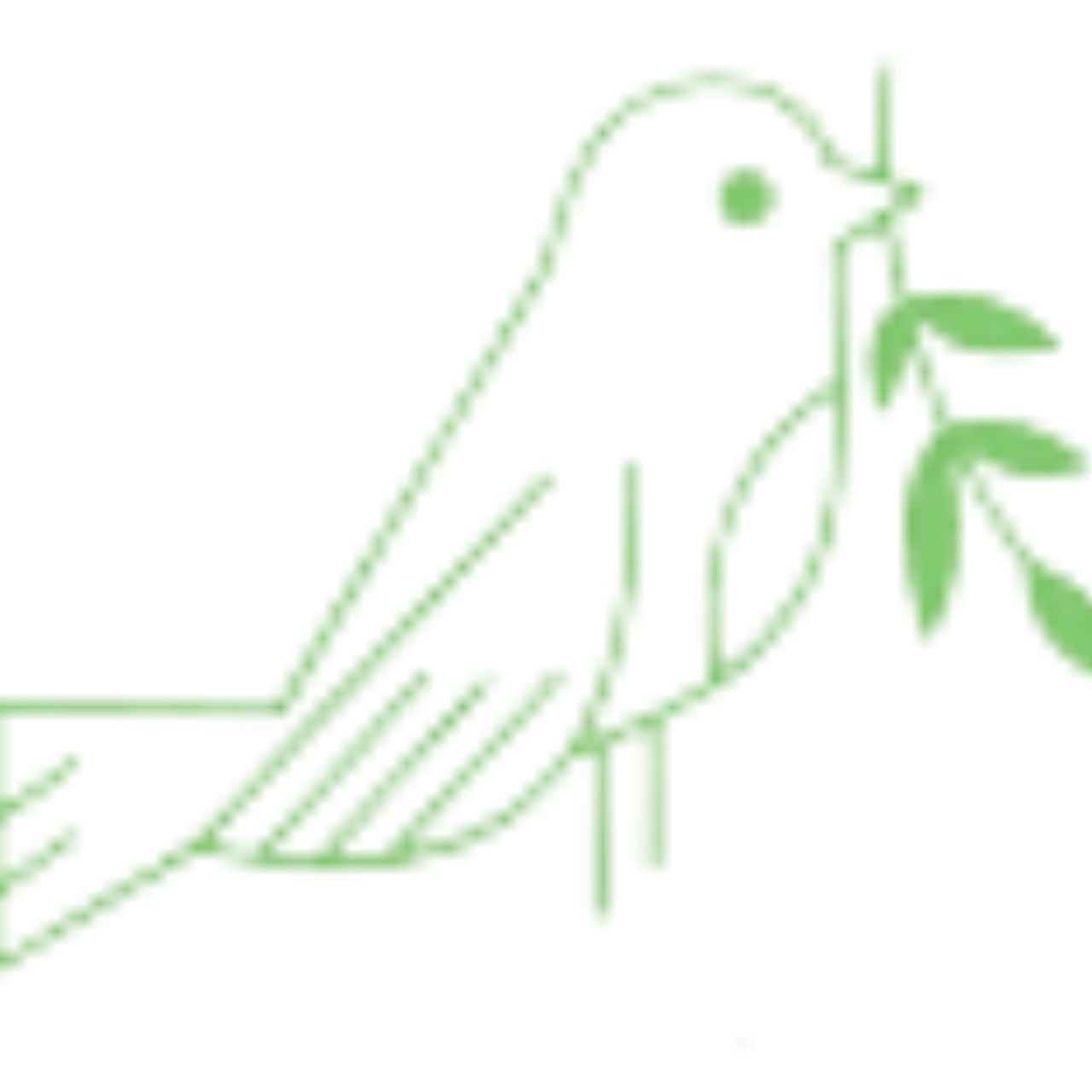 www.ourplanetstore.com