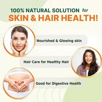 Vansaar Aloevera Juice - Vansaar - 1L