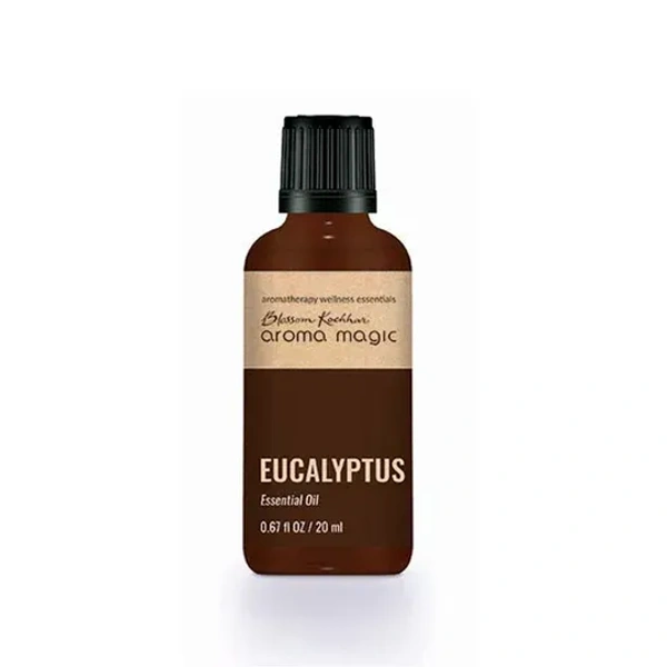 Arom Eucalyptus Oil - Blossom