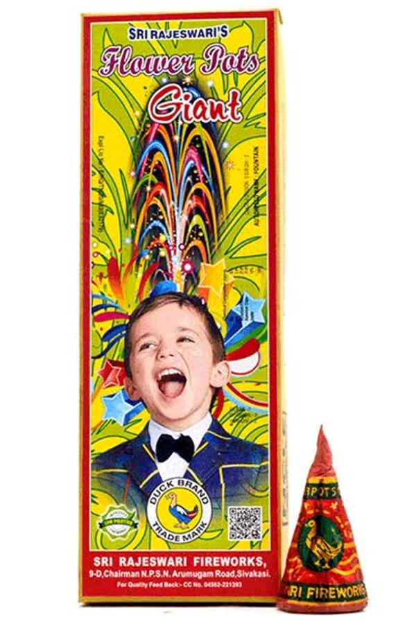 Rajeshwari  Super Giant Pack of 10pcs  - Very Big