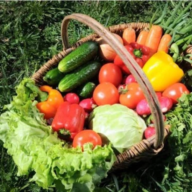 Freshly Cut Vegetables