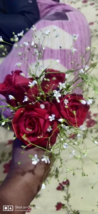 Rose 🌹  Bukey 300 Only 